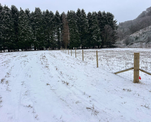 Stock fencing installed across snow-covered farmland on the A9 Tomatin to Moy project