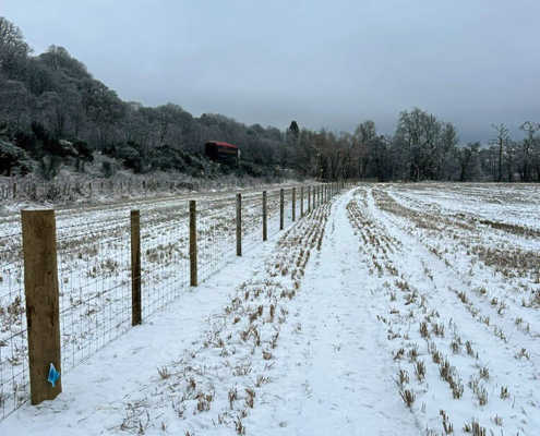 Snow-covered stock fencing works beside woodland near the A9 corridor