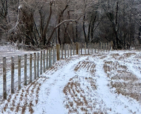 Long run of stock fencing installed through snowy fields near Tomatin