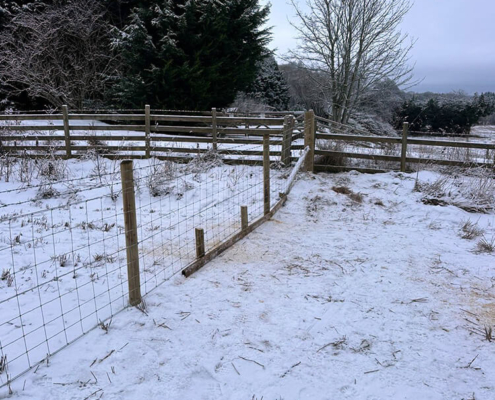Stock fencing installed along snowy farmland beside woodland near Moy