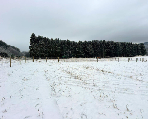 Stock fencing installed across snow-covered field near woodland on the A9 project
