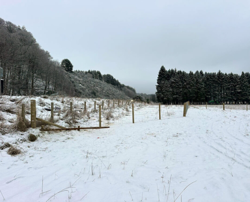 Stock fencing installed through snowy farmland on the A9 Tomatin to Moy section