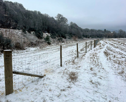New stock fence line across snow-covered rural land near Tomatin